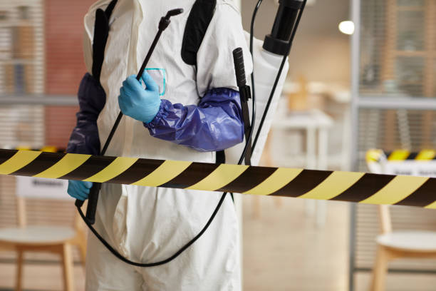 Professional Biohazard technician working in Prairie Lea, TX